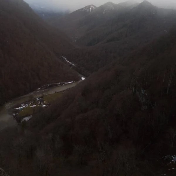 Фото Предлагаю услуги