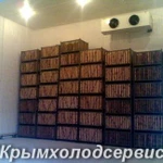 Фото №2 Монтаж овощехранилищ,фруктохранилищ в Крыму