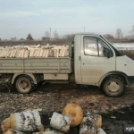 фото Дрова береза колотая!