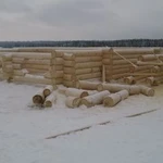 Фото №2 Срубы домов бань. Фундаменты любых типов