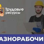 Разнорабочие по Договору