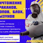 Уничтожение тараканов, клопов | Дезинсекция