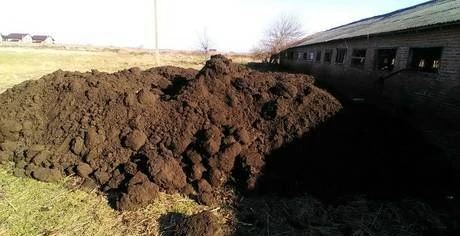 Фото Грунт плодородный питательный . Чернозем.