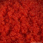 Фото №2 Продам красную икру кеты