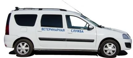 Фото Ветеринар