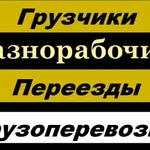 Грузчики /разнорабочие