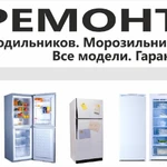 Ремонт холодильников и торгового оборудования.