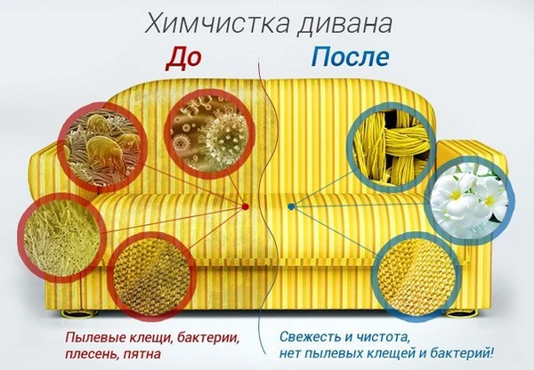 Фото Химчистка мягкой мебели на дому