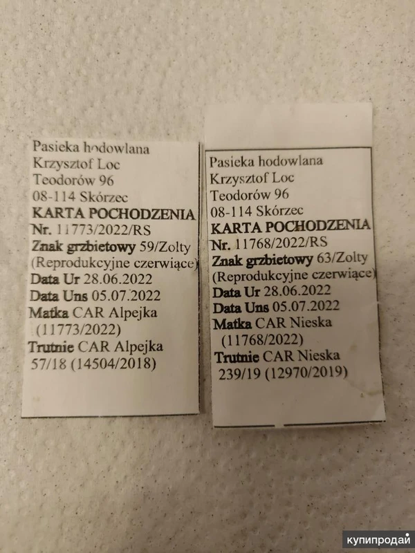 Фото Пчеломатки