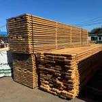 Фото №5 Лиственница, хвоя продажа оптом от производителя.