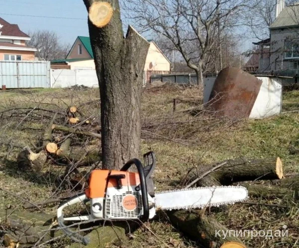 Фото Спил деревьев любой сложности