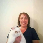 Ветврач.Стаж 21 год.Стерилизации.Кастрации.Стрижки