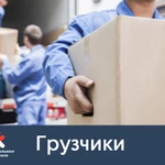Фото №2 Предоставим до 100  разнорабочих 