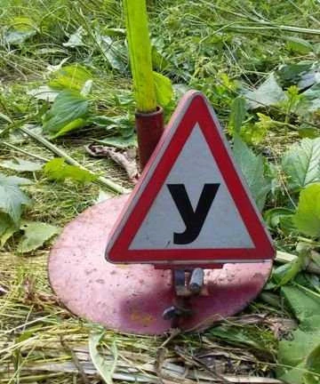 Фото Обучение