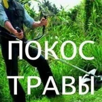 Произвожу покос травы,спил деревьев и кустарников