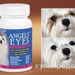 Фото №3 Книга "Бишон фризе. Энциклопедия для владельцев"