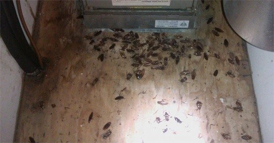 Фото СЭС услуги