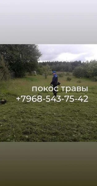 Фото Покос травы 