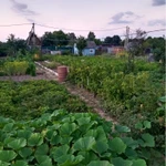 фото Участок ЛПХ