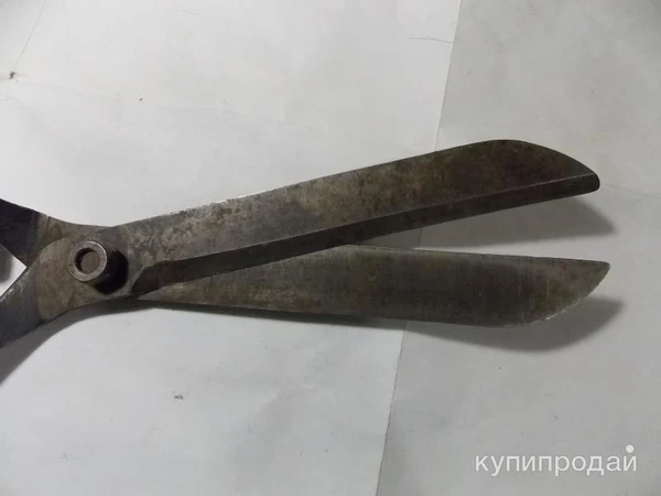 Фото садовые ножницы