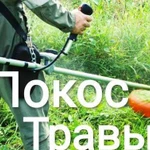 Покос травы спил деревьев