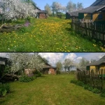 Фото №3 Покос травы