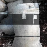 Фото №3 Навоз конский