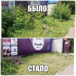 Фото №8 Покос травы триммером, вырубка деревьев. Уфа
