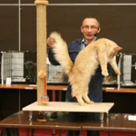 Фото №4 Вязка с котом