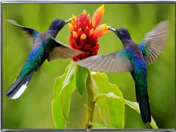 Фото Профессиональная настройка Smart Tv и Tv Вох.