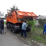 Вывоз Веток мусора с дачи в Омске