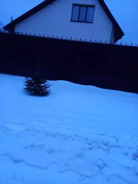 Фото Заборы
