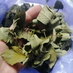 Фото №5 Листья алычи дикой. Цена за 50 грамм.