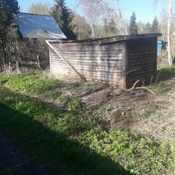 Фото Покос Травы в Можайске и районе