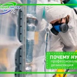 Фото №5 Уничтожение тараканов клопов, муравьев, мышей крыс