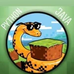 Репетитор по программированию (Python)