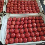 Фото №5 помидор