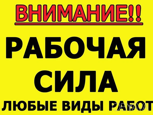 Фото Разнорабочие.