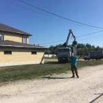 Фото №4 Спиливание деревьев 