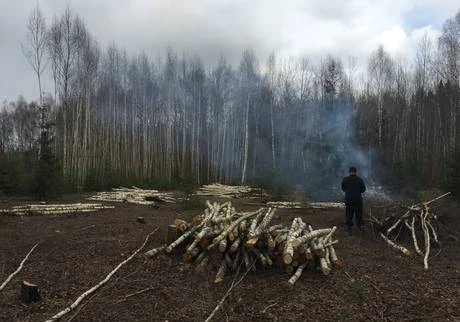 Фото Очистка сельскохозяйственных угодий от древ-кустар раститель