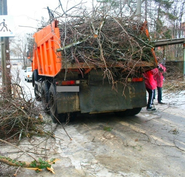 Фото Вывоз мусора, расчитстка участков