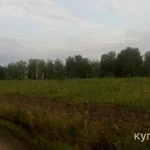 Фото №5 Участок 18ГА в кедровом заказнике