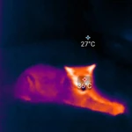 Фото №5 Тепловое Инфракрасное Тепловизионное обследование 