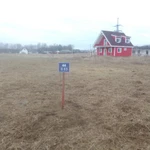 Фото №14 Расчистка участка от кустарника и деревьев. ОТЗЫВ КЛИЕНТА.