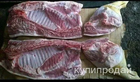 Фото Мясо свинины 350р.кг