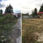 Фото №2 Покос травы и бурьяна, спил, опиловка деревьев