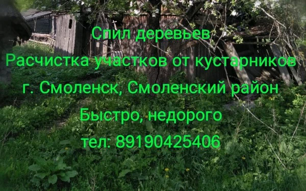 Фото Спил деревьев, кустарников