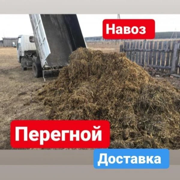 Фото Чернозем, Перегной, Навоз, Торф, Земля грунт