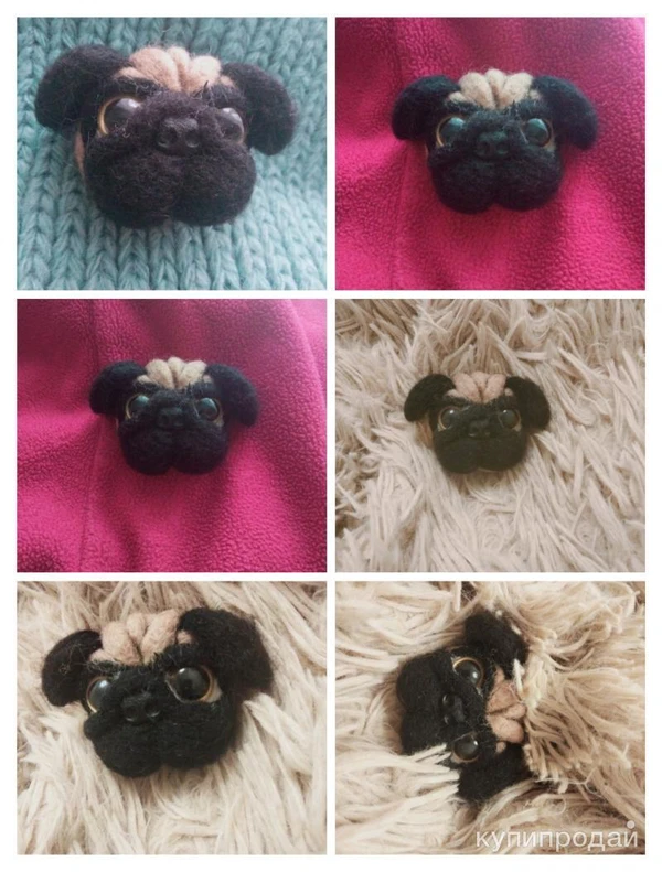 Фото Французский бульдог