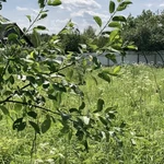 Фото №10 Продажа участка в Гос. Заказнике Таруса